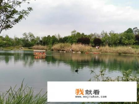 龙泉湖湿地公园7月份有好玩的吗? 龙泉湖湿地公园7月份有好玩的吗?