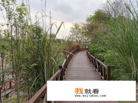 龙泉湖湿地公园7月份有好玩的吗? 龙泉湖湿地公园7月份有好玩的吗?