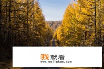 国内冬季旅游胜地前十名？