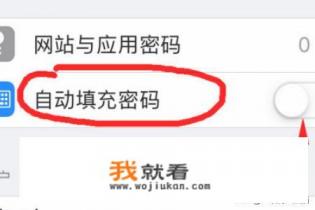 iPhone怎么开启自动填充密码（验证码）功能？
