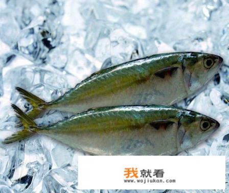 死鱼和活鱼的区别？