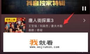 唐人街神探资料？