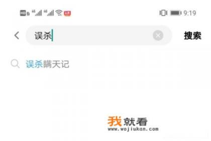 为什么误杀瞒天记看不了？