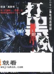 打黑风暴电视剧有多少集？