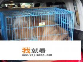 家政保洁具体是做什么的？