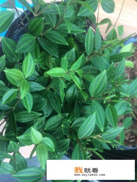 高中陪读的好处和坏处？