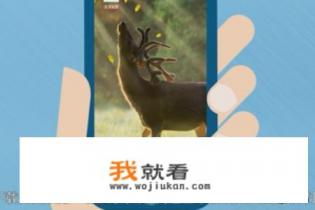 普通电脑主机可以改成为卡拉OK的点歌机吗？