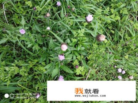 你若安好便是晴天是什么意思？