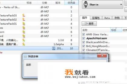 上古卷轴5怎么安装mod？