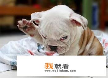 去宾馆需要带什么？