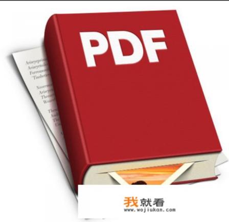 PDF  如何转换成Word？