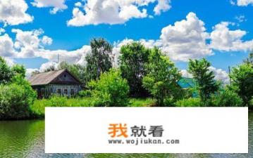 举起手来是红色经典电影吗？