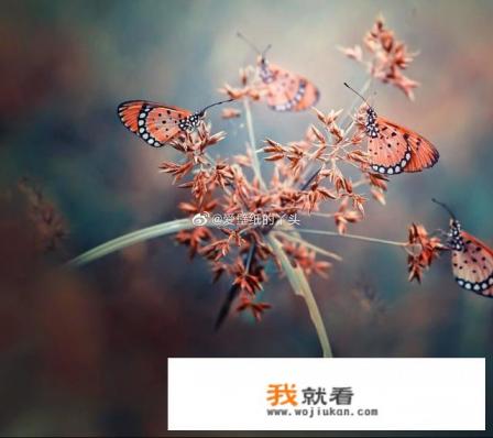 Steam怎么找到以前玩过的游戏？