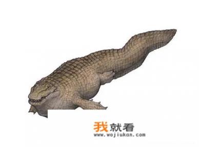 史前巨鳄有多大? 史前巨鳄有多大?