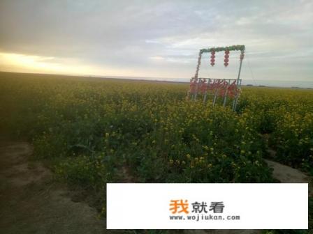 大学生中存在的网络成瘾现象主要是哪几方面?你认为应怎样矫正? 大学生中存在的网络成瘾现象主要是哪几方面?你认为应怎样矫正?