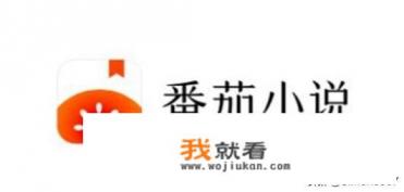 番茄一共签约了多少部小说？