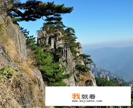 现在中国的什么拳实战最强? 现在中国的什么拳实战最强?