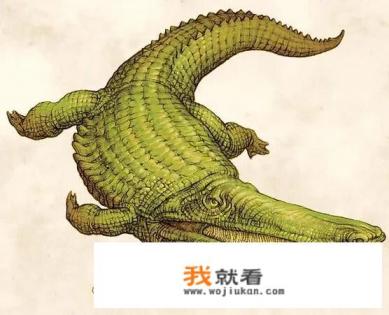 史前巨鳄十大排名? 史前巨鳄十大排名?