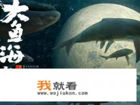 大鱼歌词全文？