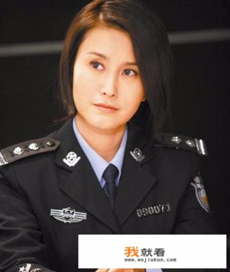 介绍几部国类好看的刑侦电视剧？