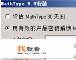 wps自带公式编辑器怎么换成mathtype？