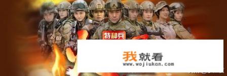 如何评价《我是特种兵之火凤凰》这部电视剧？