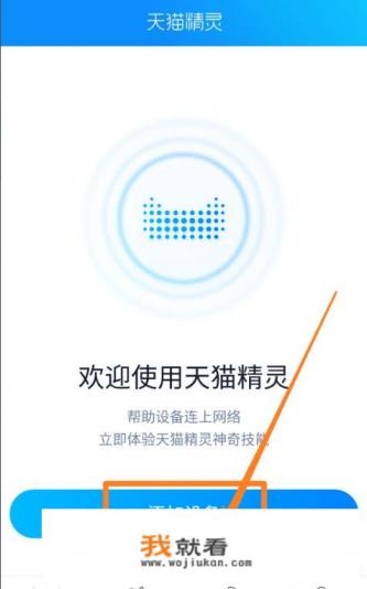 魔兽世界血精灵圣骑士是拿什么武器的？