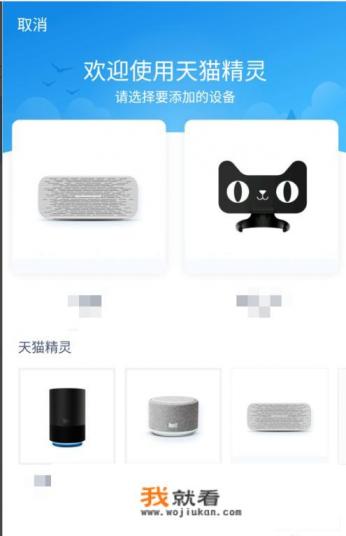 魔兽世界血精灵圣骑士是拿什么武器的？