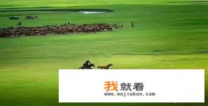 关于写的内蒙古大草原的诗有哪些? 关于写的内蒙古大草原的诗有哪些?