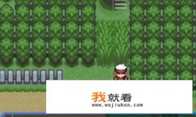 究极绿宝石小智版魔幻森林怎么走？