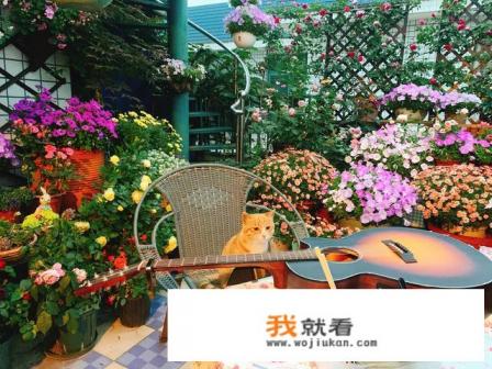 2021年中国好声音冠军之夜是几号? 2021年中国好声音冠军之夜是几号?