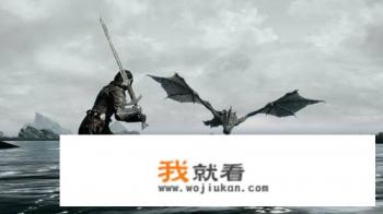 占电脑内存最大的游戏？