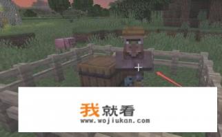 泰拉瑞亚旅商卖的所有物品？