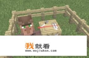 泰拉瑞亚旅商卖的所有物品？