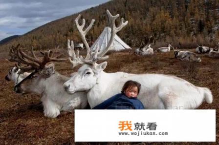 原本是出马仙的人,近两年突然不给看了。这是为什么? 原本是出马仙的人,近两年突然不给看了。这是为什么?