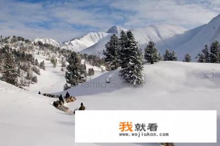 原本是出马仙的人,近两年突然不给看了。这是为什么? 原本是出马仙的人,近两年突然不给看了。这是为什么?