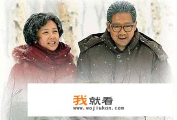 哪部爱情电视剧最好看？