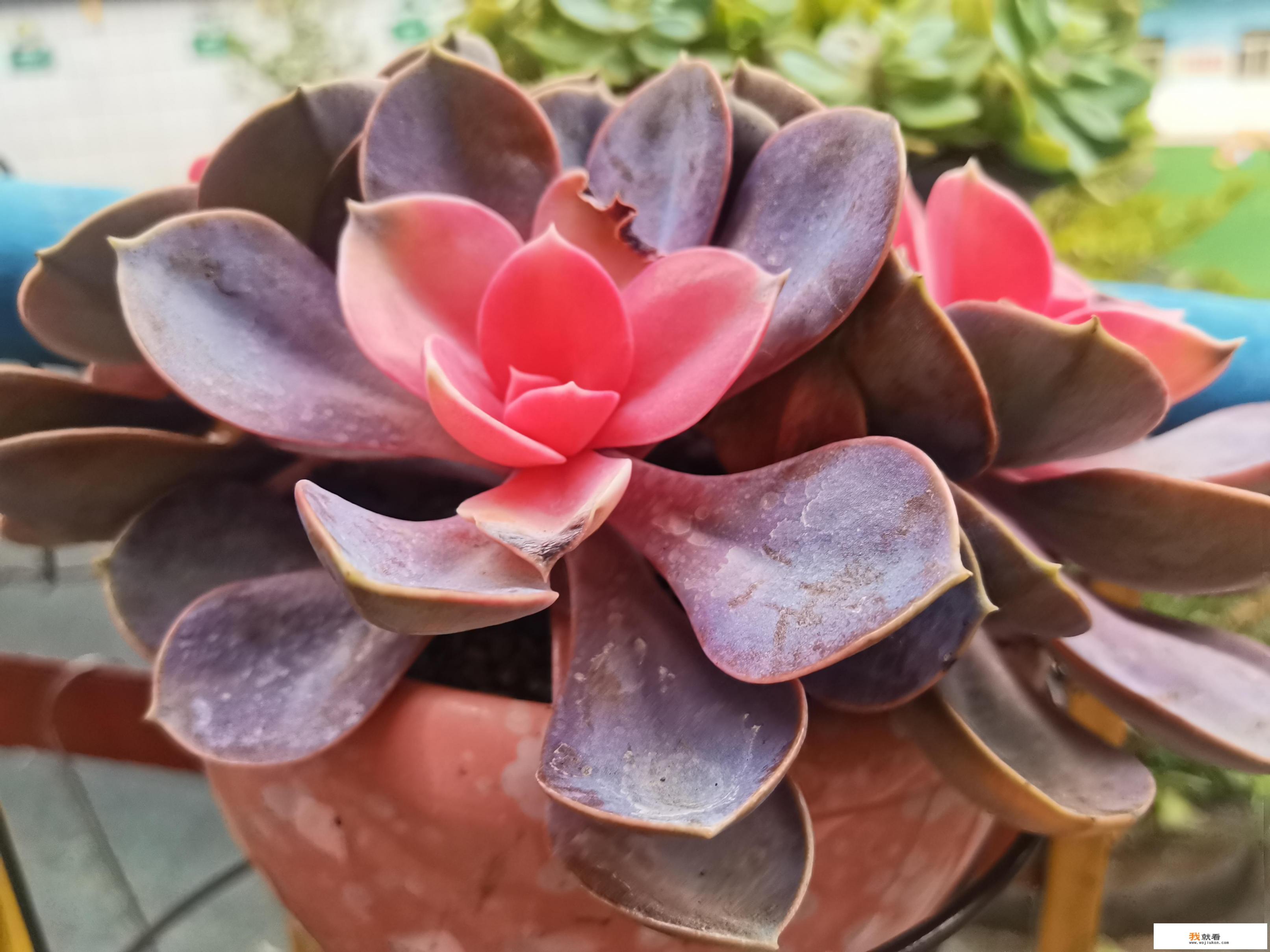 说说简单气质一句话句句精辟？