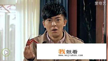 爱情公寓2谍战多少集? 爱情公寓2谍战多少集?