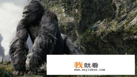 电影《金刚》骷髅岛里面出现的虫子是否是你童年的阴影？