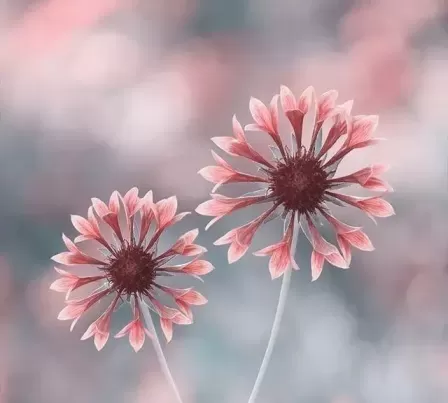 朋友老婆病了我要怎么安慰他？