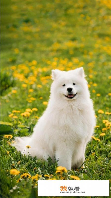 如何拯救网游上瘾的孩子？