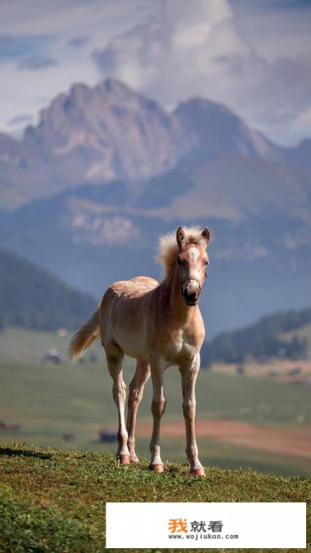 如何拯救网游上瘾的孩子？