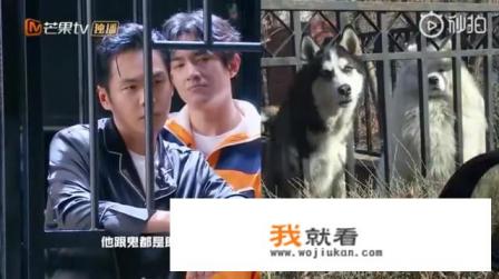 明星大侦探第五季第七案案情还原