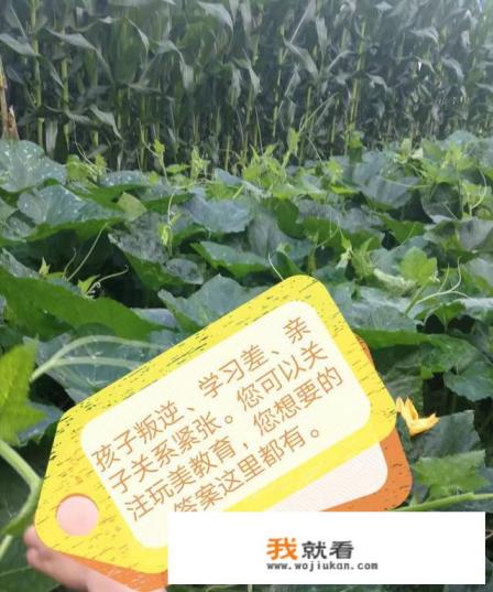 家长不阻止孩子玩网络游戏犯法吗？