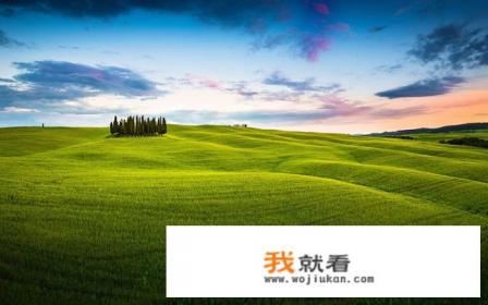 怎么单独找中文字幕？