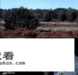 如何评价人体蜈蚣1？值得一看吗？