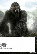 如何评价电影《金刚》？