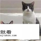 如何控制爱玩游戏？