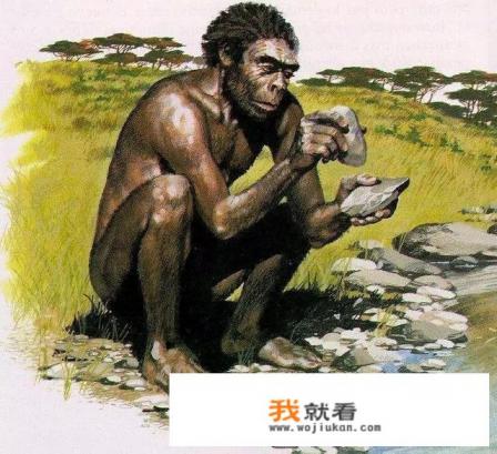 mtr模组桥梁创造器怎么用？